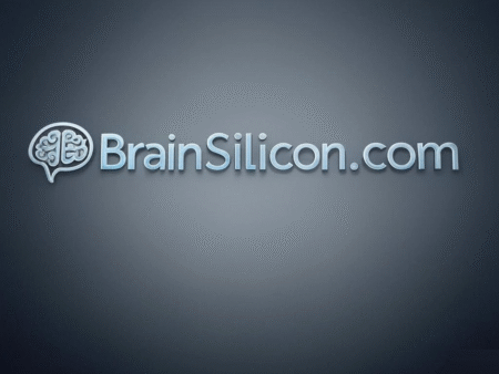 BrainSilicon.com