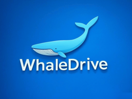WhaleDrive.com